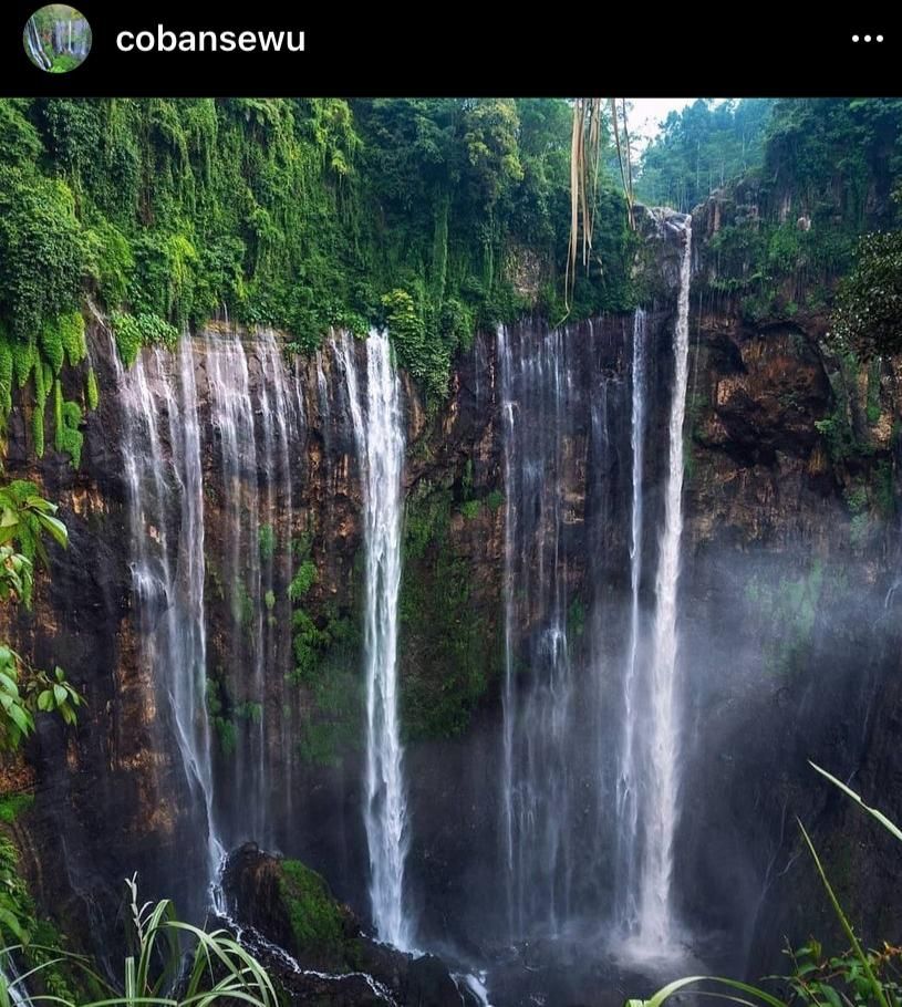 Wringinanom (Instagram Coba Sewu)