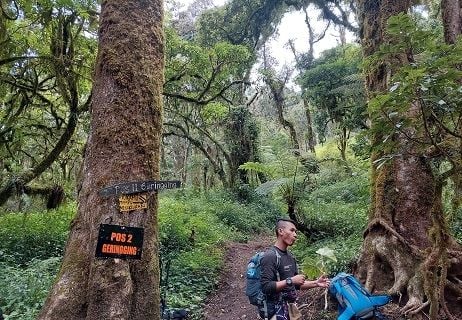 Pendakian Gunung Slamet. (Suara.com/Lilis Varwati)