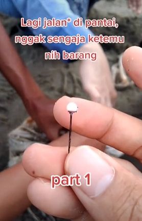 Bungkusan misterius ditemukan di pantai. (Tiktok/@irfanmunadi)