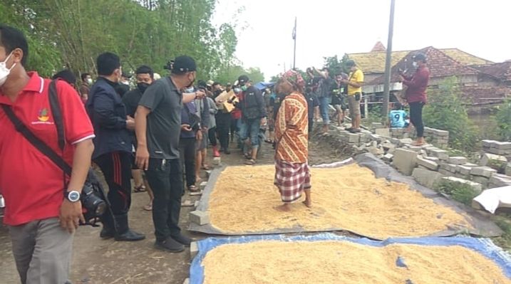 Warga Desa Cermenlerek, Kecamatan Kedamean, Jawa Timur menjemur gabah di tengah banjir. (Restu Fadilah/Suara.com)