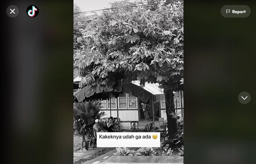 Viral, Momen Romantis Kakek Nenek yang Tergantikan dengan Kesedihan. (Dok: TikTok/rjb.khld)