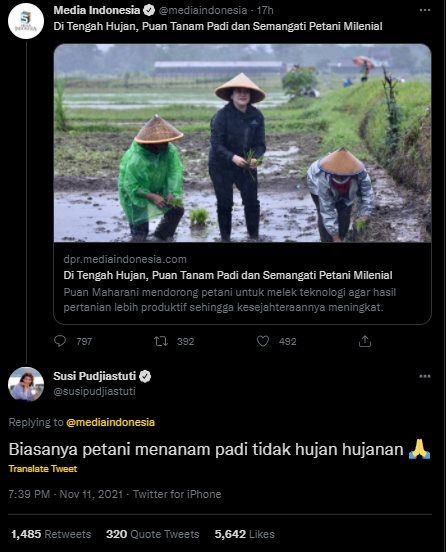 Puan Maharani Tanam Padi di Tengah Hujan. (Twitter/@susipudjiastuti)