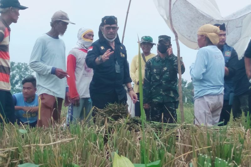 Menteri Pertanian (Mentan) Syahrul Yasin Limpo tengah berbincang-bincang dengan buruh tani di Karawang. [ANTARA/Ali Khumaini]