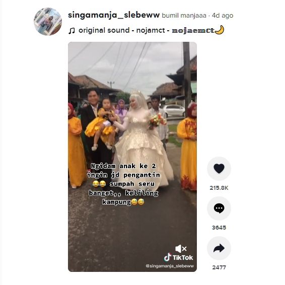 Viral ibu hamil ngidam jadi pengantin diarak keliling kampung. (Dok. TikTok)