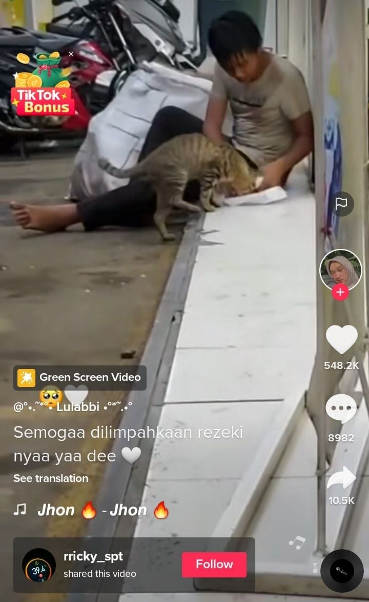 Beri makan kucing. [TikTok]