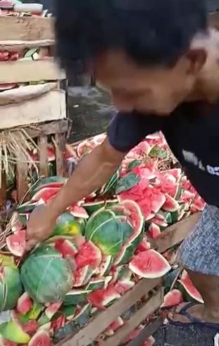 Viral pria ngamuk hancurkan semangka. (Tiktok)
