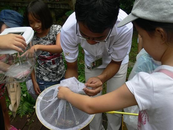 Anak-anak belajar tentang capung di Jacob Ballas Childrens Garden (Dok. Nparks.gov.sg)