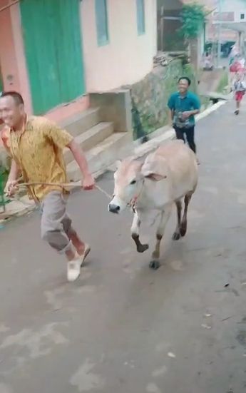 Seserahan diantar satu kampung. (Tiktok/@vindolllll)