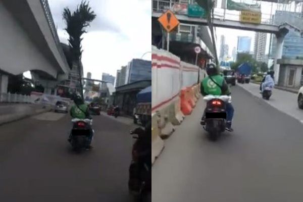 Viral Driver Ojol Bawa Orderan Pohon Super Tinggi Naik Motor. (Twitter/@GarasiKomedi)