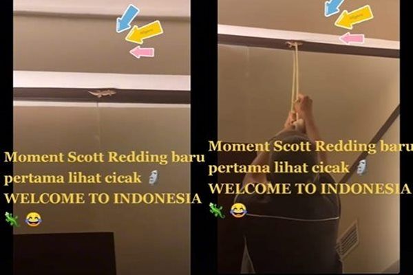 Viral Reaksi Scott Reading Lihat Cicak Untuk Pertama Kalinya. (TikTok)