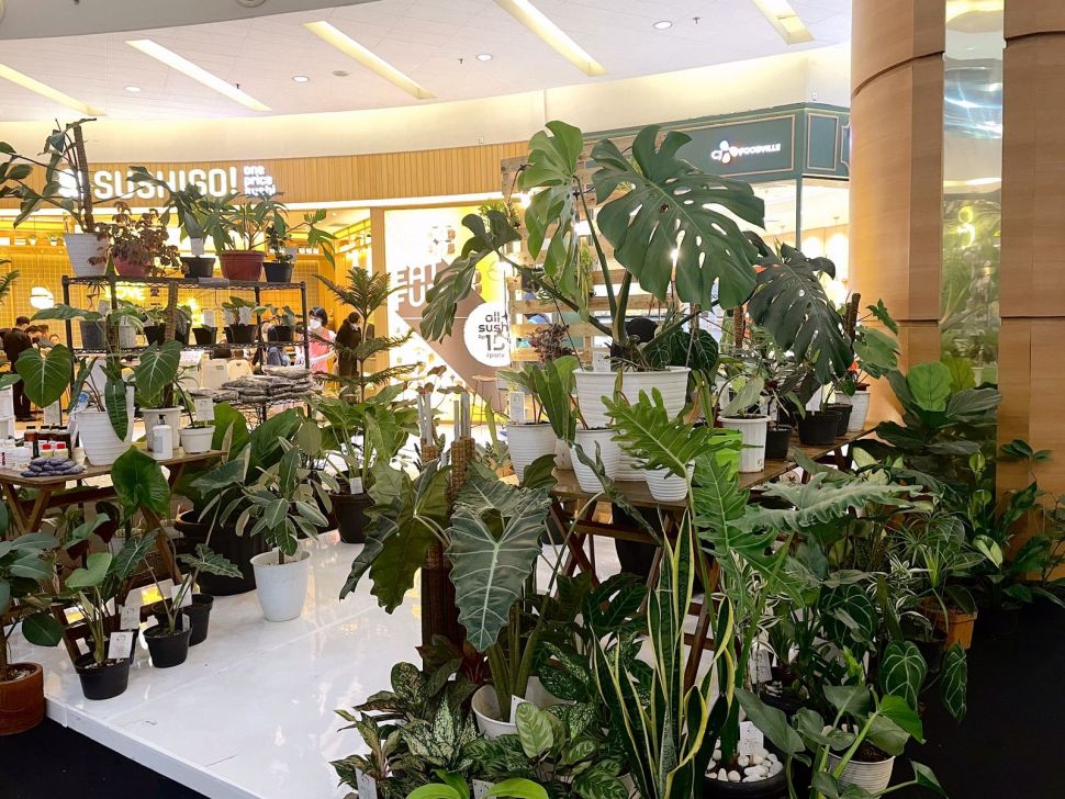 Pameran Urban Garden (Dok. SMS)