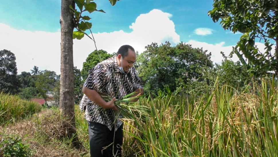 Pimpinan DPRD Kota Bogor melakukan panen raya padi bersama Kelompok Tani Subur Makmur pada Rabu (17/11/2021). (Dok: DPRD Kota Bogor)