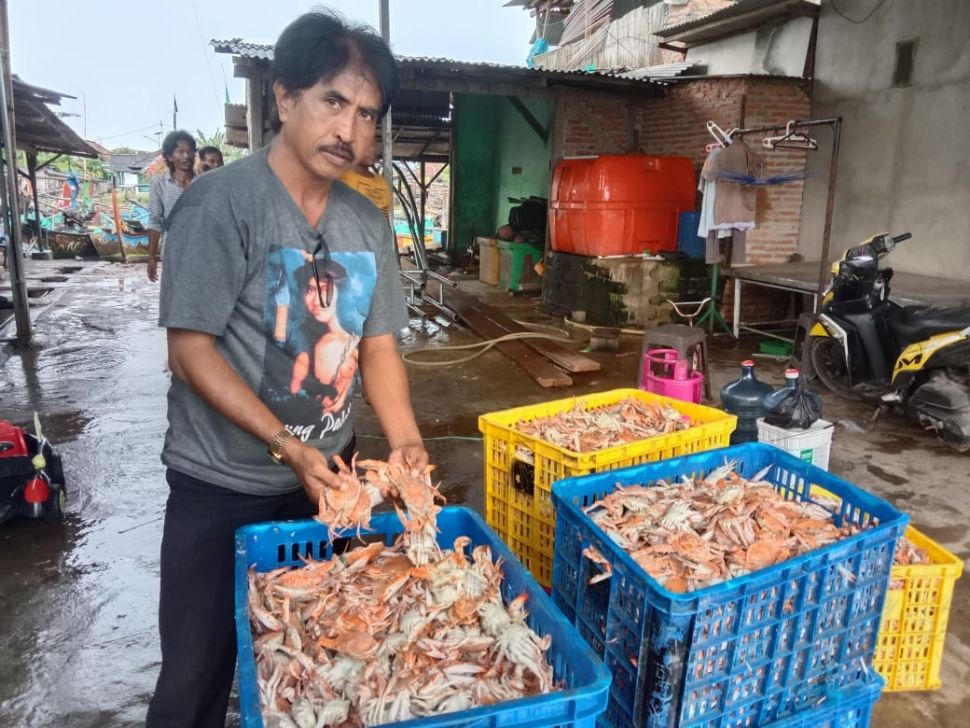Jumlah Rajungan di Lampung Timur mulai menurun. [Suaralampung.id/Agus Susanto]