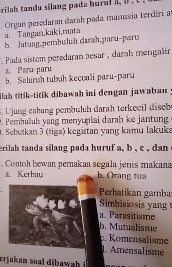 Pilihan jawaban soal pelajaran bikin siswa ini kesal. (Tiktok/@ahmadaoval)