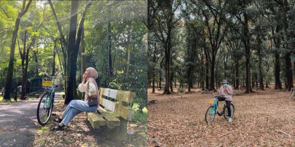 Kebun Raya Purwodadi (Instagram: Wisata Kebun Raya Purwodadi/Pasuruan.kekinian)