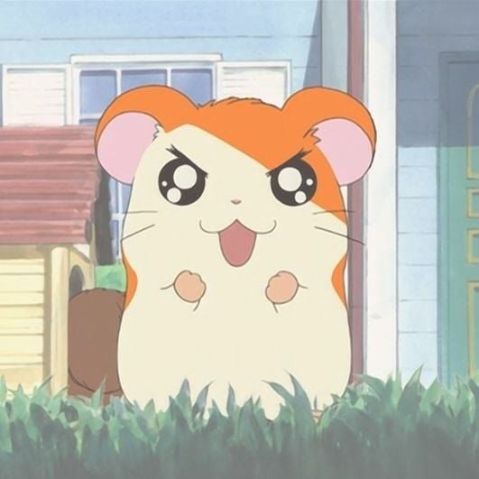 Hamtaro (Instagram/Hamtaro_hamu)