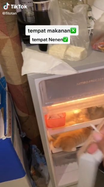 Bukan Makanan, Viral Video Pria Kaget Lihat Hal Ini di Dalam Kulkas: Astaghfirullah. (TikTok/@fitotan)