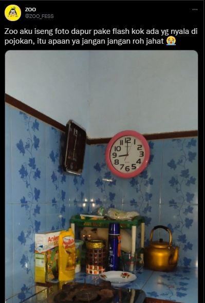 Iseng Foto Dapur Pakai Flash, Pemilik Rumah Malah Kaget Merinding Lihat Hal Ini. (Twitter/@ZOO_FESS)