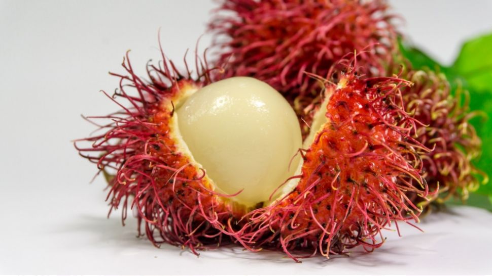 Ilustrasi buah rambutan (pixabay/GoPlaces)