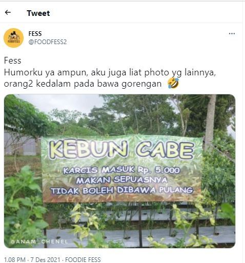 Kebun cabai makan sepuasnya (Twitter @FOODFESS2)