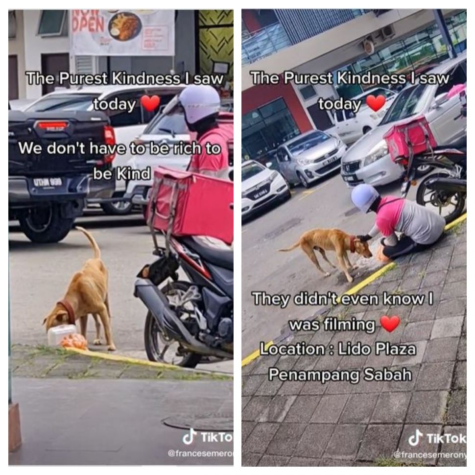 Kurir makanan berbagi dengan anjing jalanan (TikTok @francesemerony)