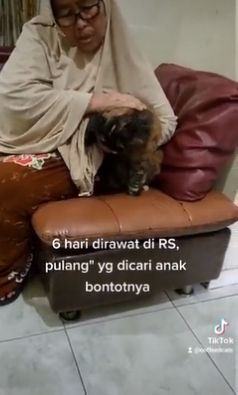 Sang ibu justru mencari kucing kesayangannya terlebih dahulu. (Twitter/@kochengfess)