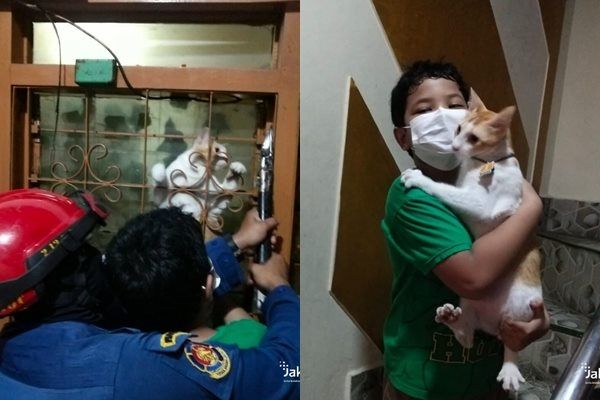 Viral Damkar Selamatkan Kucing Terjepit di Teralis Jendela. (Twitter/@humasjakfire)