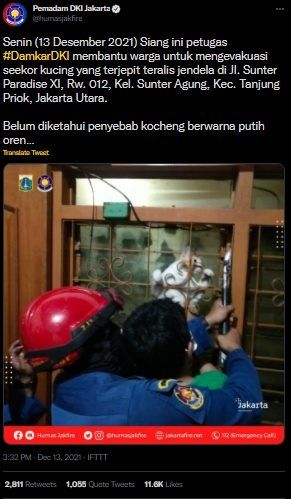 Viral Damkar Selamatkan Kucing Terjepit di Teralis Jendela. (Twitter/@humasjakfire)