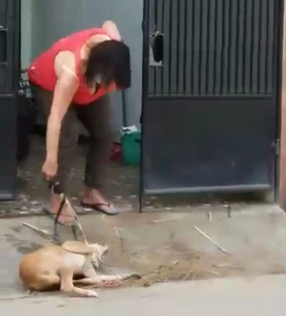 Tangkapan layar anjing dipukuli pemilik diduga gegera rusak sapu lidi, Rabu (15/12/2021). [IST]