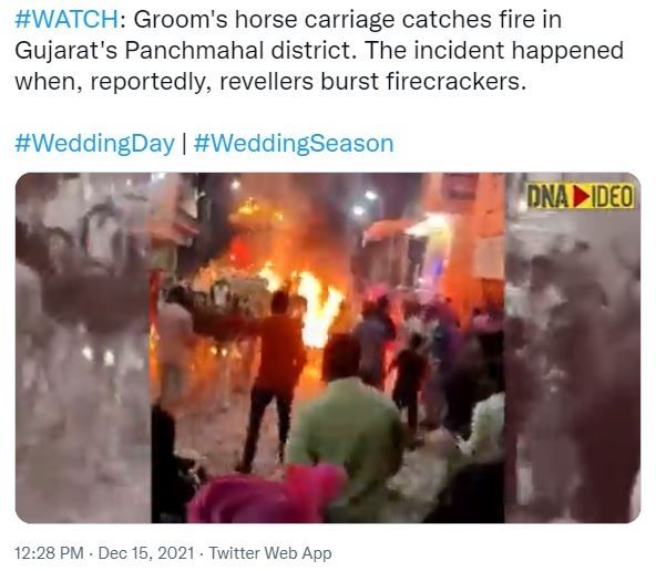 Kereta Kuda Pengantin Terbakar Kembang Api  (twitter.com/dna)
