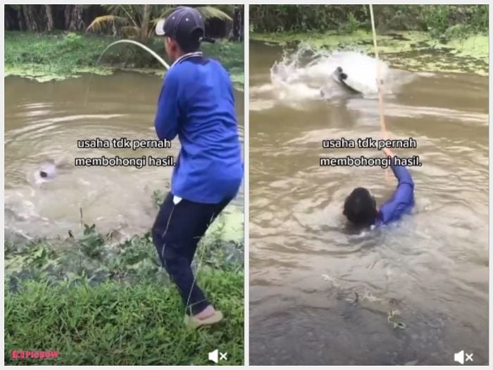 Niat Mancing, Bapak Ini Malah Ikut Nyelam Bareng Ikan. (TikTok)