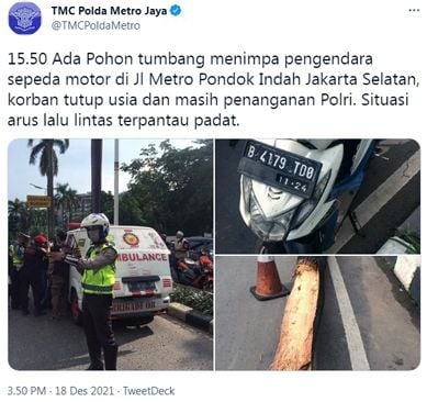 Viral Detik-Detik Pohon Palem Tumbang Timpa Mobil Di Pondok Indah