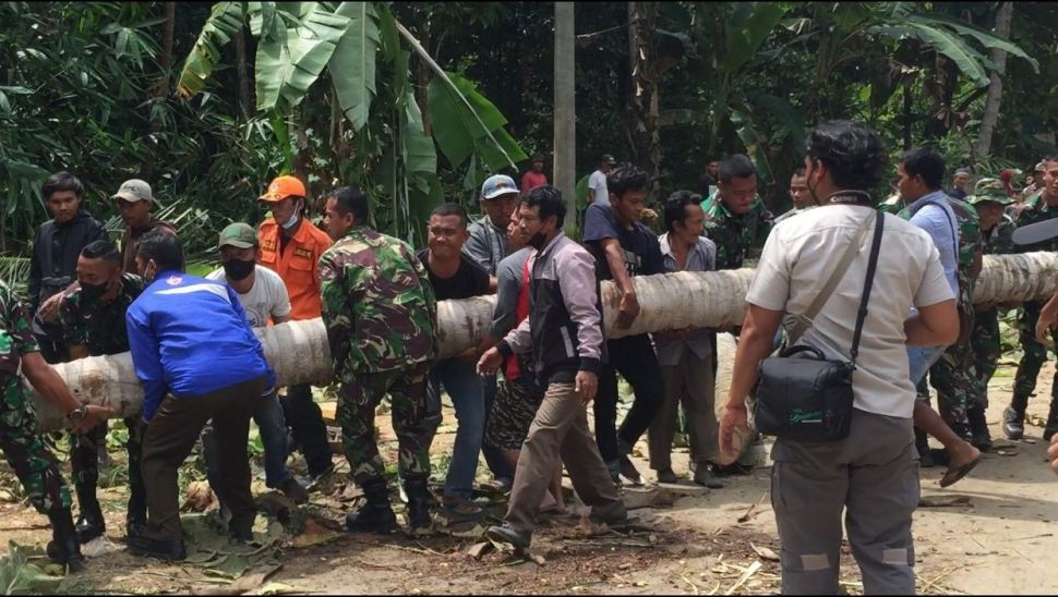 Viral Marinir dan Warga Bangun Jembatan dari Pohon Kelapa. (Lampungpro.co)