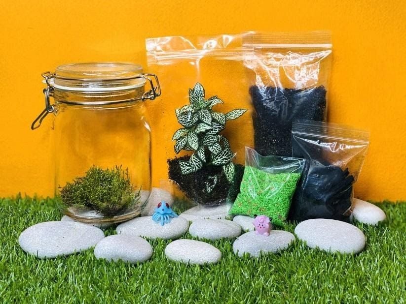 Alat membuat terrarium Dok.Funworks SG