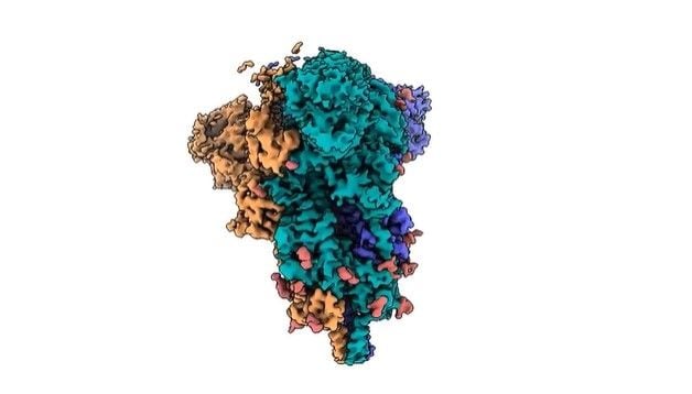 Protein lonjakan Virus Omicron (EPLF)