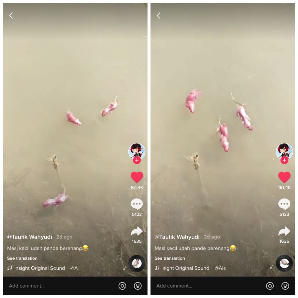 Viral buang bayi tikus ke sungai (TikTok/karina_ft_tiktok)