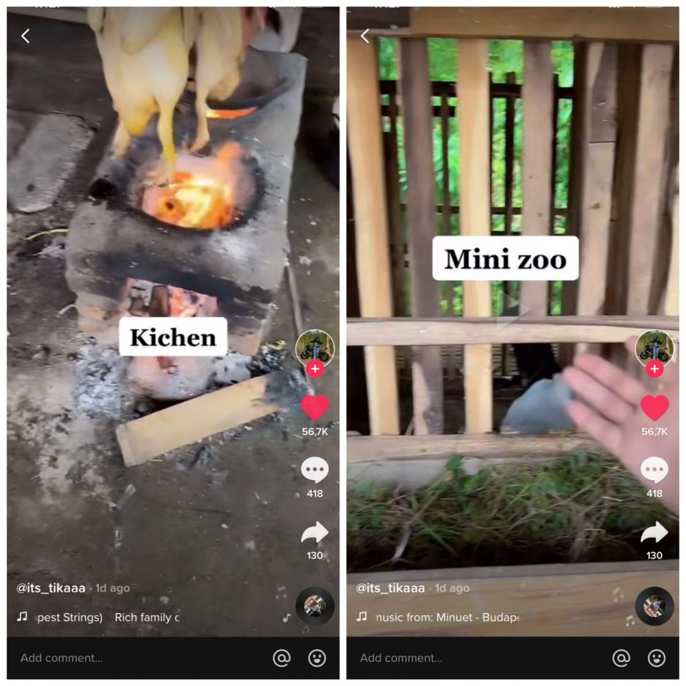 Cewek pamer kebun binatang mini di rumahnya (TikTok/tikayunita)