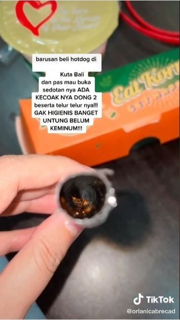 Kecoa di dalam sedotan (TikTok @orlanicabrecad)