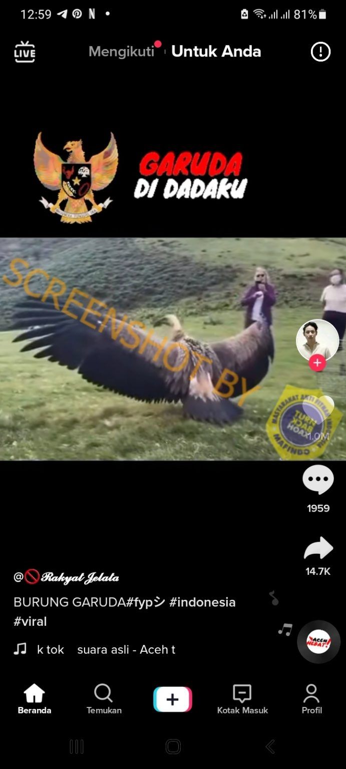 CEK FAKTA: Viral Video Penampakan Burung Garuda, Benarkah? (Turnbackhoax.id)