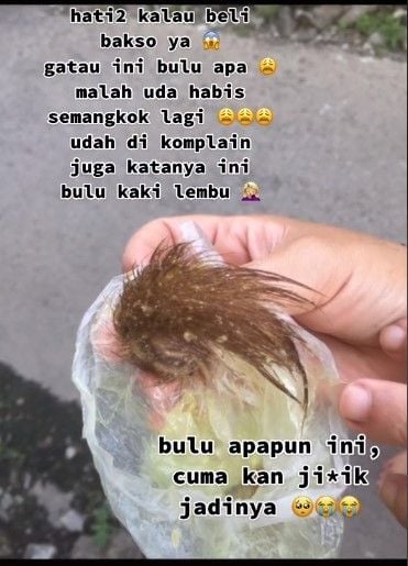 Bulu hewan di bakso (tiktok.com/@nurazmii09_)