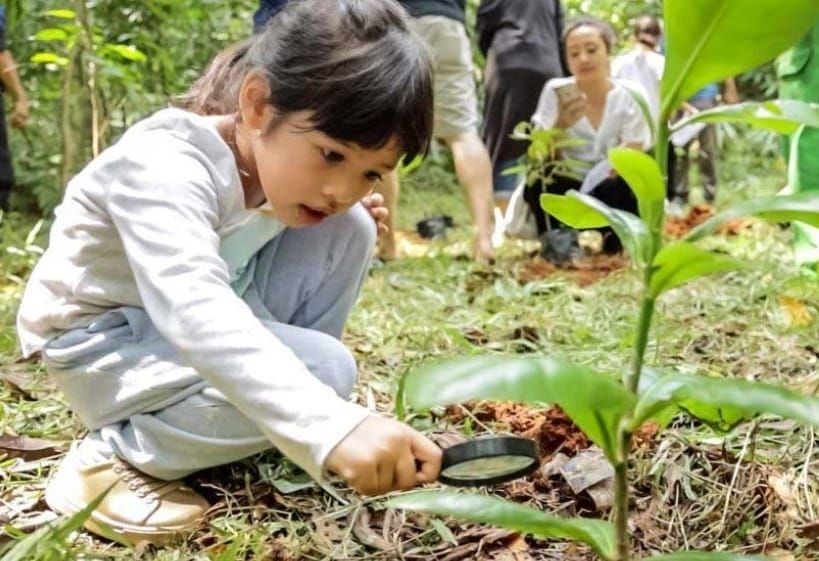 Hutan Kota Srengseng (Dok. Carsome)