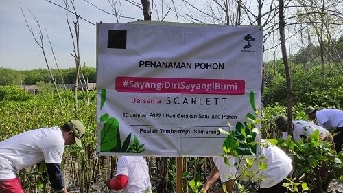 Menggandeng LindungiHutan, brand kecantikan Scarlett melakukan program penanaman lebih dari 3.000 pohon mangrove di beberapa daerah, seperti Kendal, Semarang, Demak, dan Bontang, dengan mengusung tema #SayangiDiriSayangiBumi di Hari Gerakan Sejuta Pohon yang diperingati pada 10 Januari 2022. 