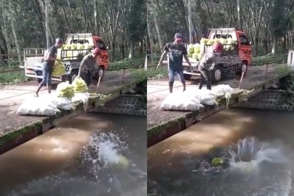 Viral Aksi Dua Pria Diduga Buang Hasil Panen ke Sungai (Instagram/@fakta.indo)