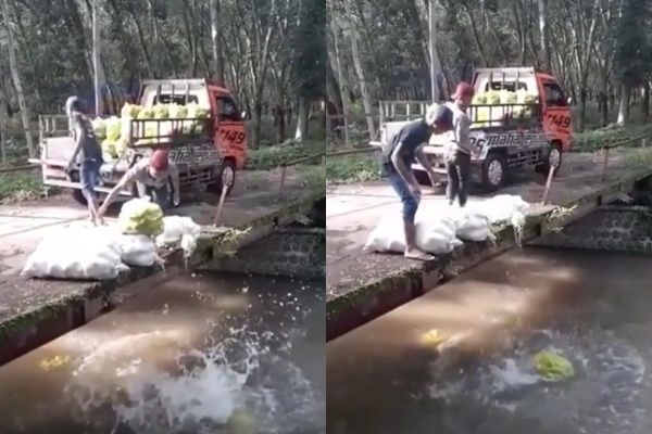 Viral Aksi Dua Pria Diduga Buang Hasil Panen ke Sungai (Instagram/@fakta.indo)