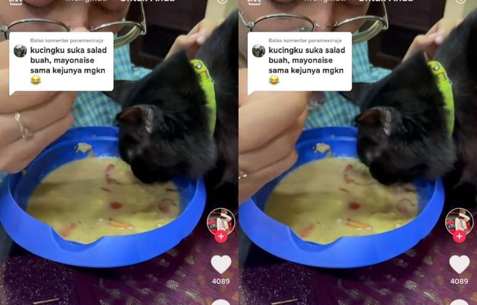 Makan Sepiring berdua dengan Kucing, Aksi Gadis Ini Tuai Kritik (Dok. TikTok)