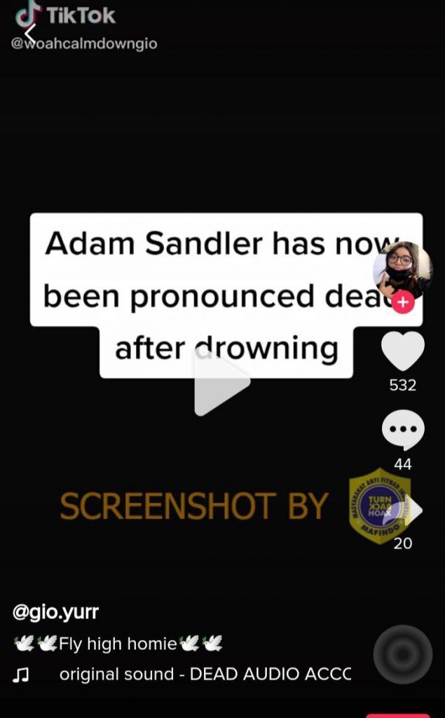 CEK FAKTA Aktor Adam Sandler Dikabarkan Meninggal Dunia Karena Tenggelam. (Turnbackhoax.id)