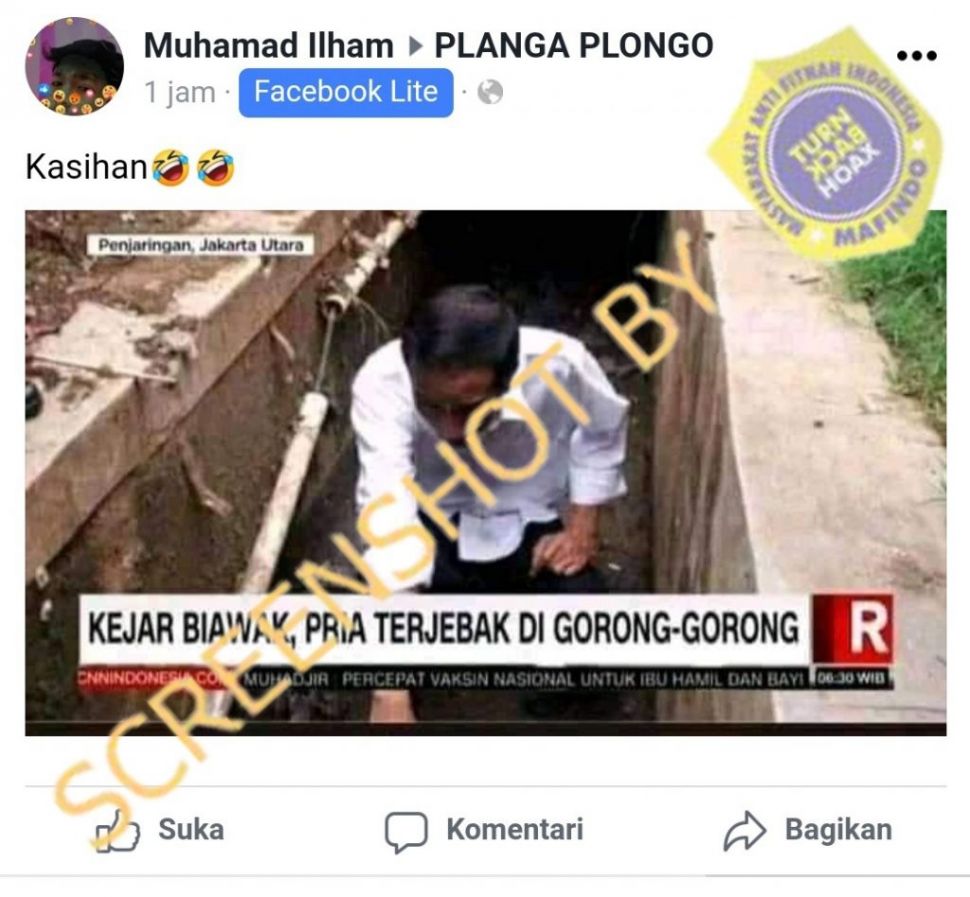 CEK FAKTA Presiden Jokowi Kejar Biawak Sampai Terjebak di Gorong-gorong. (Turnbackhoax.id)