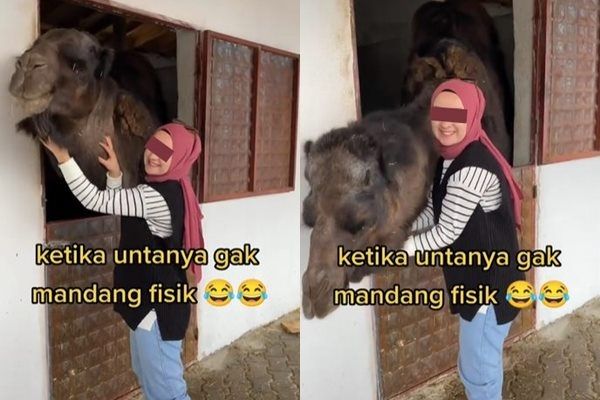 Viral Aksi Unta 'Tak Pandang Fisik' Pas Dipeluk Cewek. (TikTok)