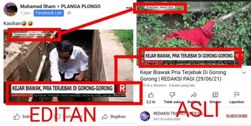 CEK FAKTA Presiden Jokowi Dikejar Biawak Sampai Terjebak di Gorong-gorong. (Turnbackhoax.id)