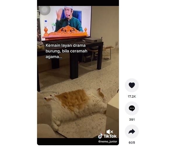 Kucing Oyen Tidur Saat Tayangan Ceramah Agama. (TikTok)